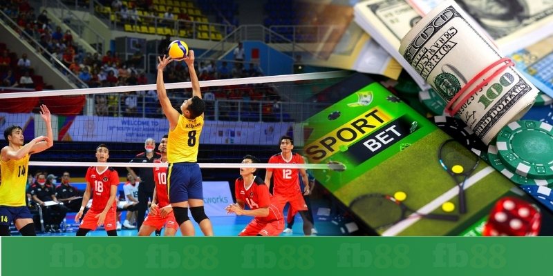 Bí kíp cá cược bóng chuyền dễ thắng