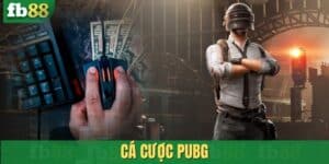 Cá cược PUBG