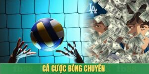 Cá cược bóng chuyền