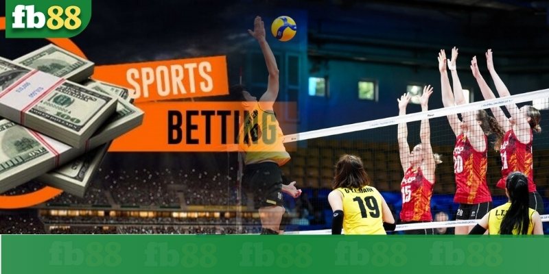 Cá cược bóng chuyền là gì?