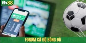 Forum cá độ bóng đá