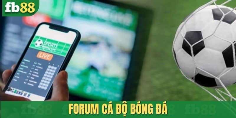 Forum cá độ bóng đá