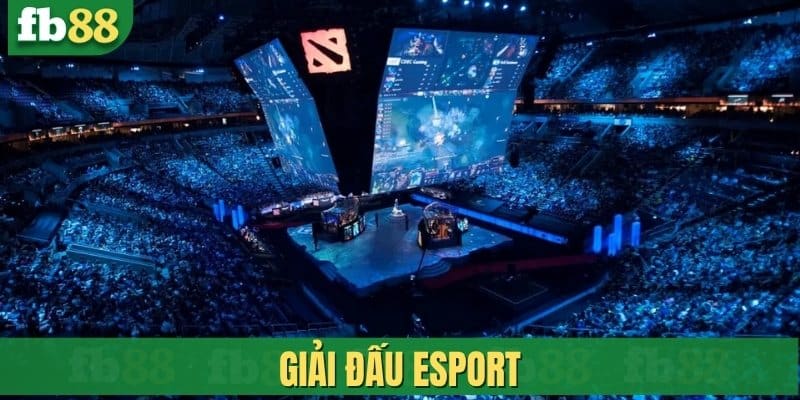 Giải đấu Esport