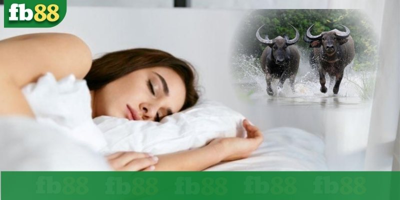 Giải mã giấc mơ thấy trâu