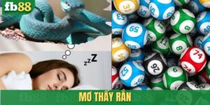 Mơ thấy rắn