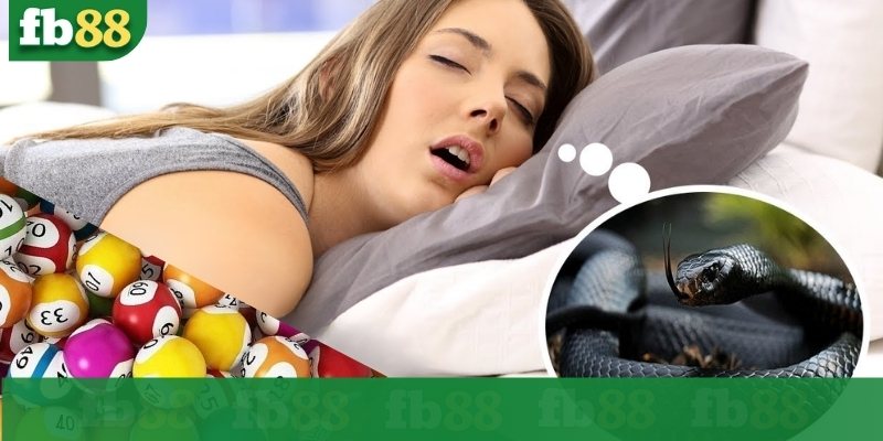 Mơ thấy rắn mang đến điềm tốt hay xấu