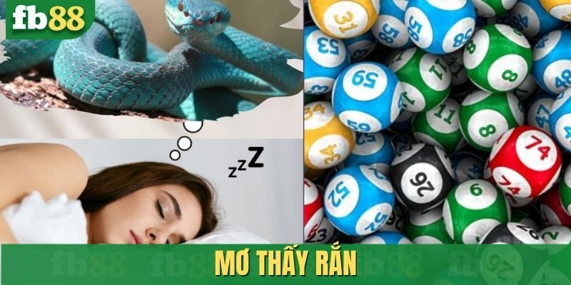 Mơ thấy rắn