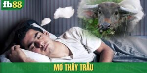 Mơ thấy trâu