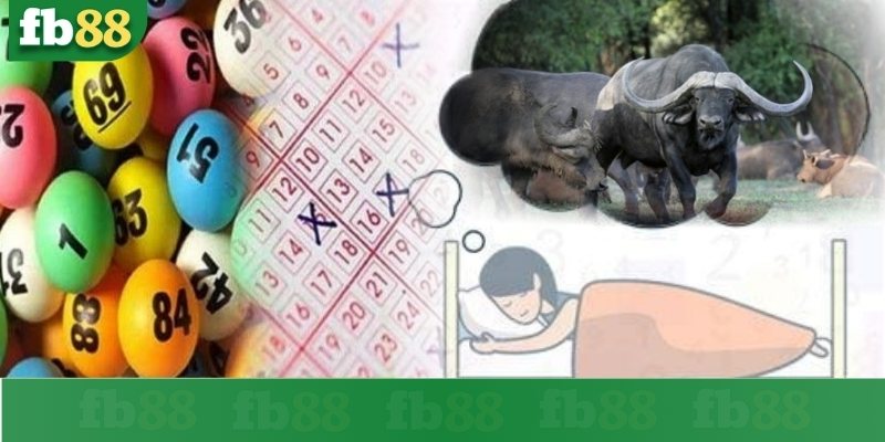 Mơ thấy trâu đánh số gì?