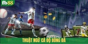 Thuật ngữ cá độ bóng đá